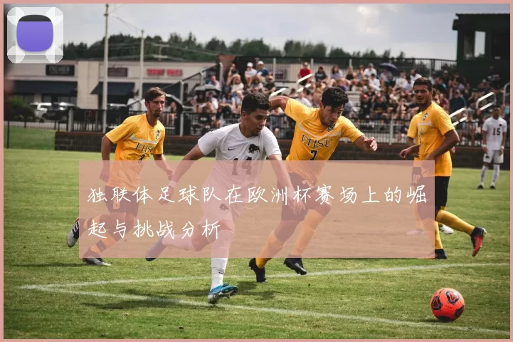 独联体足球队在欧洲杯赛场上的崛起与挑战分析